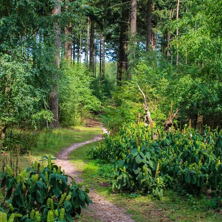 Boslodge By Interhome Casa vacanze Hoenderloo