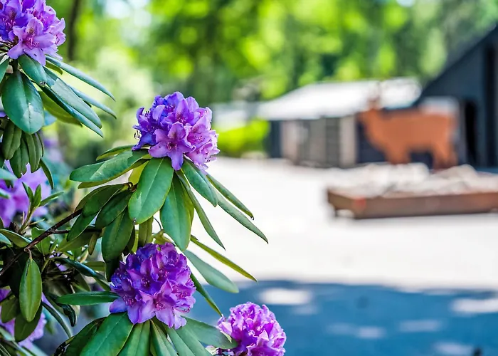 Casa vacanze Boslodge By Interhome *