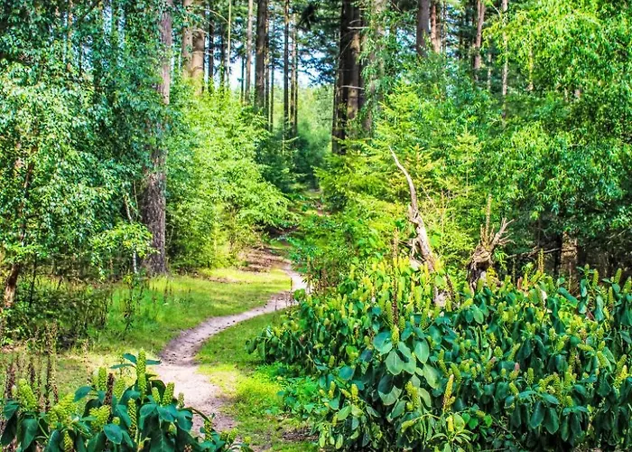 Casa vacanze Boslodge By Interhome *